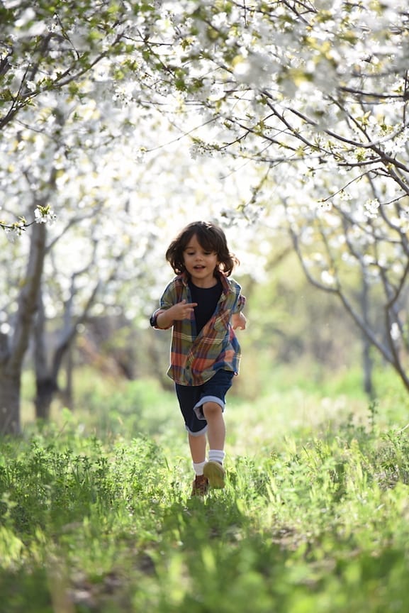 a boy running through a grassy forest during sunset
