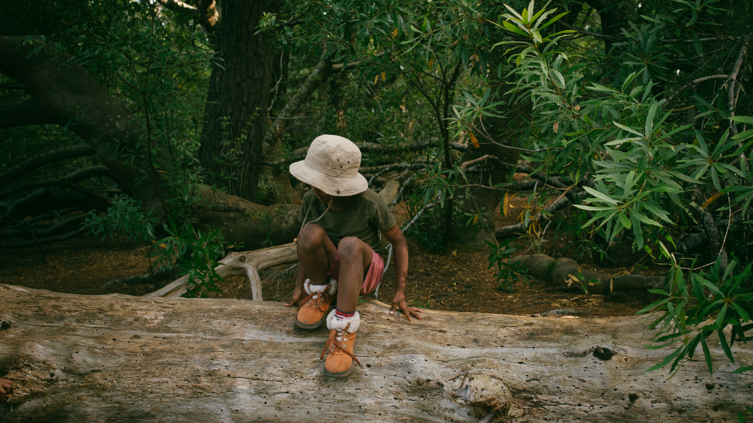 Explore your neighborhood . . . like an explorer!