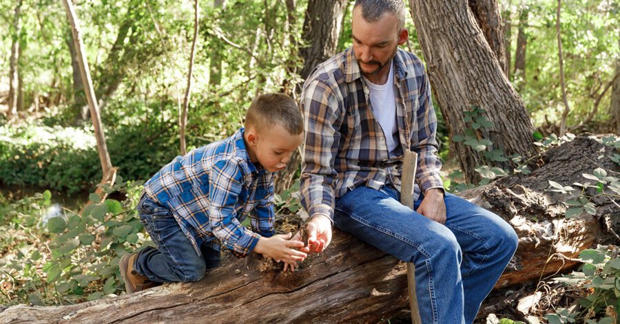 Father and son observing nature in the forest